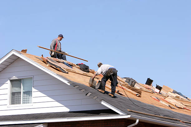 Best Emergency Roof Repair Services  in Madison, IL